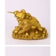 thumbnail image 3 of Xiao Hua Rana de la fortuna Feng Shui, sapo de la suerte, ideal para atraer riqueza, 12 x 10 x 8 cm, 3 of 4