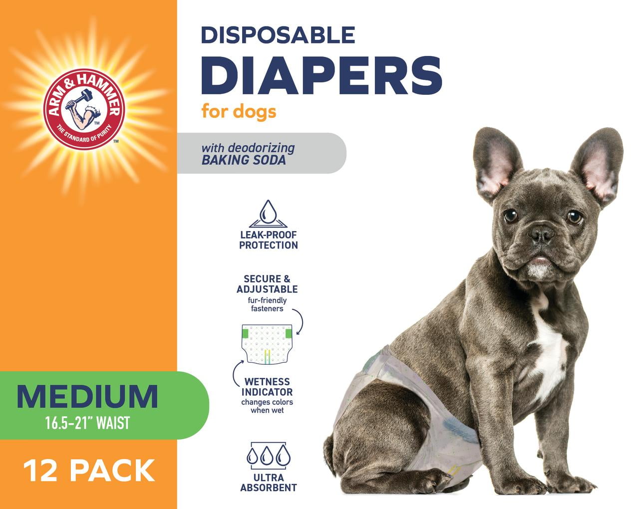 Why Is My Dog Eating Diapers