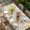 Off-White, variant on Easter Bunny Table Cloths for 6 Foot Rectangle Tables, Rabbit Spring Flowers Leaves Vintage Rustic Plants Patio Waterproof Elastic Fitted Tablecloths, Washable Rectangular Table Cover for Camping