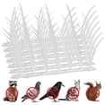 thumbnail image 1 of 6 uds. De picos para pájaros, picos antipájaros, picos de plástico reutilizables para disuadir pájaros, dispositivos de tiras disuasorias de pájaros resistentes y duraderos, picos para palomas para pá, 1 of 10