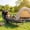 Black, variant on Blazezo Foldable Guest Bed with Mattress, Outdoor Camping Cot with 4-Position Adjustable Reclining Nap Chair for Home Office, Supports 250LBs