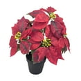 thumbnail image 4 of Planta de Pascua artificial navideña Plantas artificiales en maceta Regalo de Navidad 5 cabezas, 4 of 9
