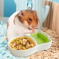 thumbnail image 3 of Ceramic Hamster Food Bowl Small Animal Feeder Durable Pet Dish for Rabbits Gerbils Hedgehogs and Hermit Crabs, 3 of 4
