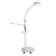 thumbnail image 2 of Tebru 8X Magnifying LED Cold Light Height Stand Lamp Tattoo Beauty Light Adjustable, 2 of 8