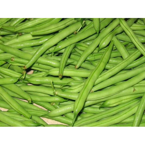 Blue Lake Bush 274 Green Bean Seeds