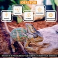 thumbnail image 3 of Sustrato de chips de coco ReptiChip 68L para reptiles (paquete de 3), 3 of 8