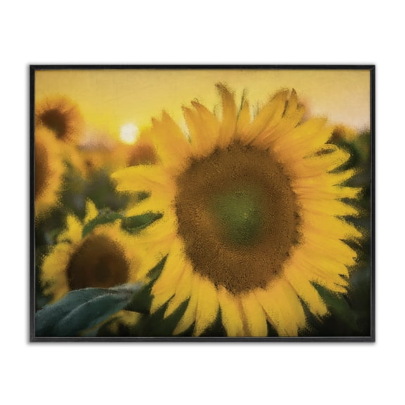 Stupell Industries Cottage Sunflower Field Sunrise Realistic Soft Edges Black Framed Giclee Art, 14 x 11, by Kim Allen