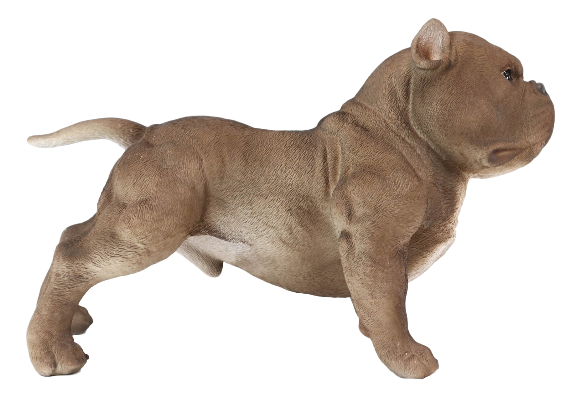 3,048 Small American Bully Dog Images, Stock Photos, 3D objects