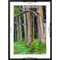 thumbnail image 5 of Art.com Hawaii, Maui, Rainbow Eucalyptus Trees Photographic Print by Terry Eggers, Black Frame Wall Art, 21" x 29", 5 of 5