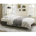 Papajet Sofa Bed, Sleeper Sofa with Storage Chaise2 in 1 Pull Out