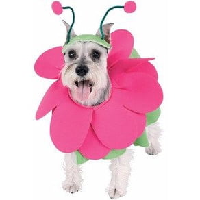 Flower Dog Costume
