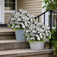 thumbnail image 6 of 3 Pack Artificial Butterfly Bush Flowers, 11.81 Inch Realistic Floral Spray for Wedding and Home Decor, Dual-Tone Plastic Flowers for Outdoor Indoor Vase, All-Season Table Centerpiece, 6 of 7