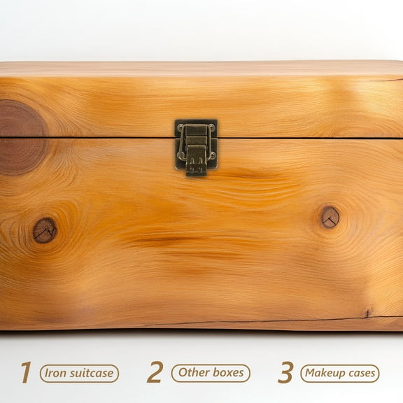 Raindrops 2pcs Decorative Hasp Toggle Latch for Tool Box Retro Style Metal Buckle Lock for Jewelry Case and Small Boxes Convenient Latch Hardware