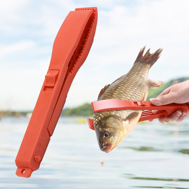 Agarre del cuerpo de pesca con interruptor de bloqueo, Clip de soporte para peces, accesorios de suministros de pesca