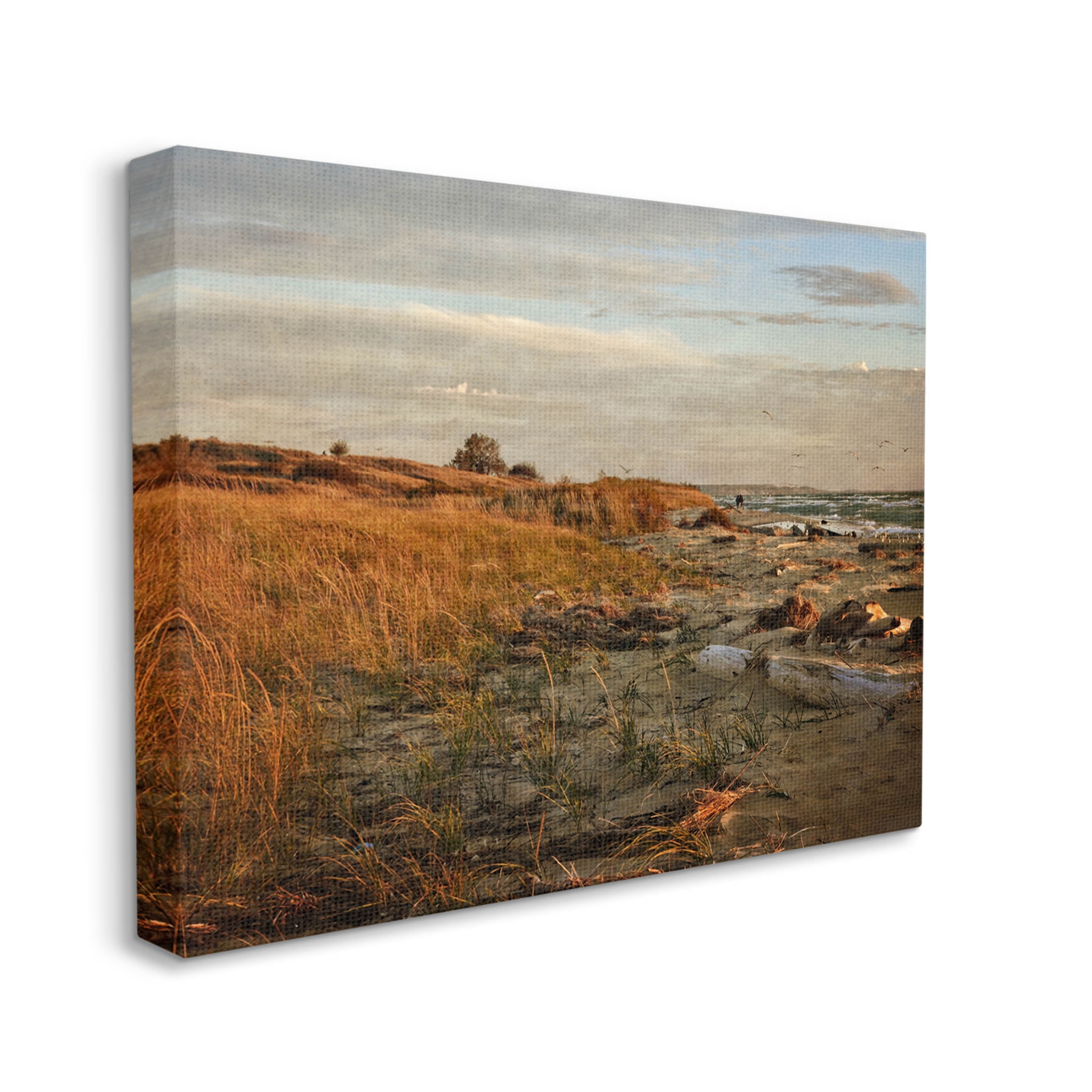 Seaside Reeds Coastal Scene Landscape Photograph Gallery Wrapped Canvas Print Wall Art