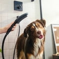 Hansgrohe Dog Showerhead