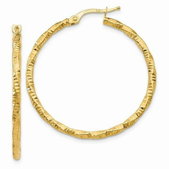 Primal Gold 14 Karat Yellow Gold and Textured Hoop Earrings
