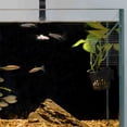 thumbnail image 3 of Aquarium Suction Cup Cable Ties, Fish Tank Tube Holder Clips, for Airline & Water Hose, 3 of 8