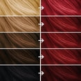 thumbnail image 5 of CHERRY RED PERMANENT KIT, 5 of 5