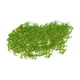 thumbnail image 2 of Hojas de escenografía estáticas de 56 ml para cubrir el suelo, ideal para maquetas de trenes de Wargame, primavera. Primavera verde, 2 of 9