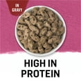 thumbnail image 3 of Purina Beyond Immune Health Wet Dog Food Natural Soft Beef & Spinach, 12.5 oz Can, 3 of 11