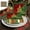 D, variant on Uxgjfwu Christmas Disposable Party Tableware Set 20 Pcs Red Green Gold Paper Plates Cups Napkins for Holiday Dinner Gathering