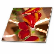3dRose Ceramic Red Hot Chili Peppers Strung on String and Hanging on From a Ceiling in a Mexican Restaurant - Ceramic Tile, 6-inch
