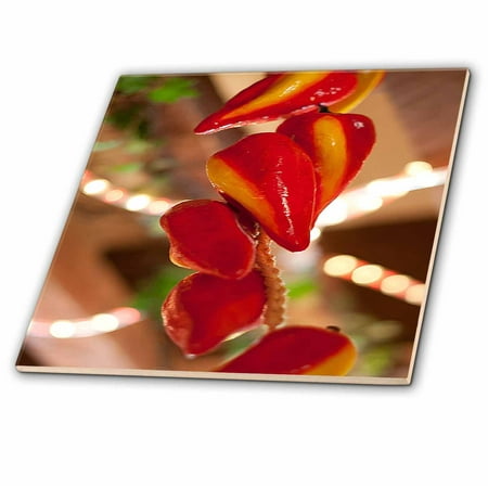 3dRose Ceramic Red Hot Chili Peppers Strung on String and Hanging on From a Ceiling in a Mexican Restaurant - Ceramic Tile, 6-inch