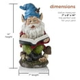 thumbnail image 3 of Alpine WAC206 Gnome Lecture Livre Statuaire, 3 of 5