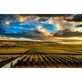 thumbnail image 2 of Duval, Richard 32x23 Black Ornate Wood Framed with Double Matting Museum Art Print Titled - Washington State-Red Mountain Red Mountain vineyards at dusk with dramatic sky, 2 of 4