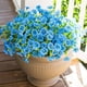 thumbnail image 5 of Simulation Green Outdoor Flower Arrangement Decoration Photo Props, 5 of 6