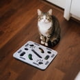 thumbnail image 7 of Interactive Cat Tease Box with Squeaky Toys and Scratching Pad, Track Ball for Indoor Exercise and Mental Stimulation,11.8Inch,Gray, 7 of 7