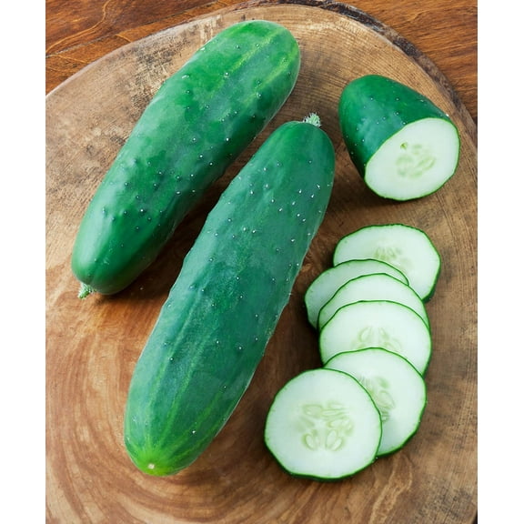 Bonnie Plants Straight 8 Cucumber Live Plants