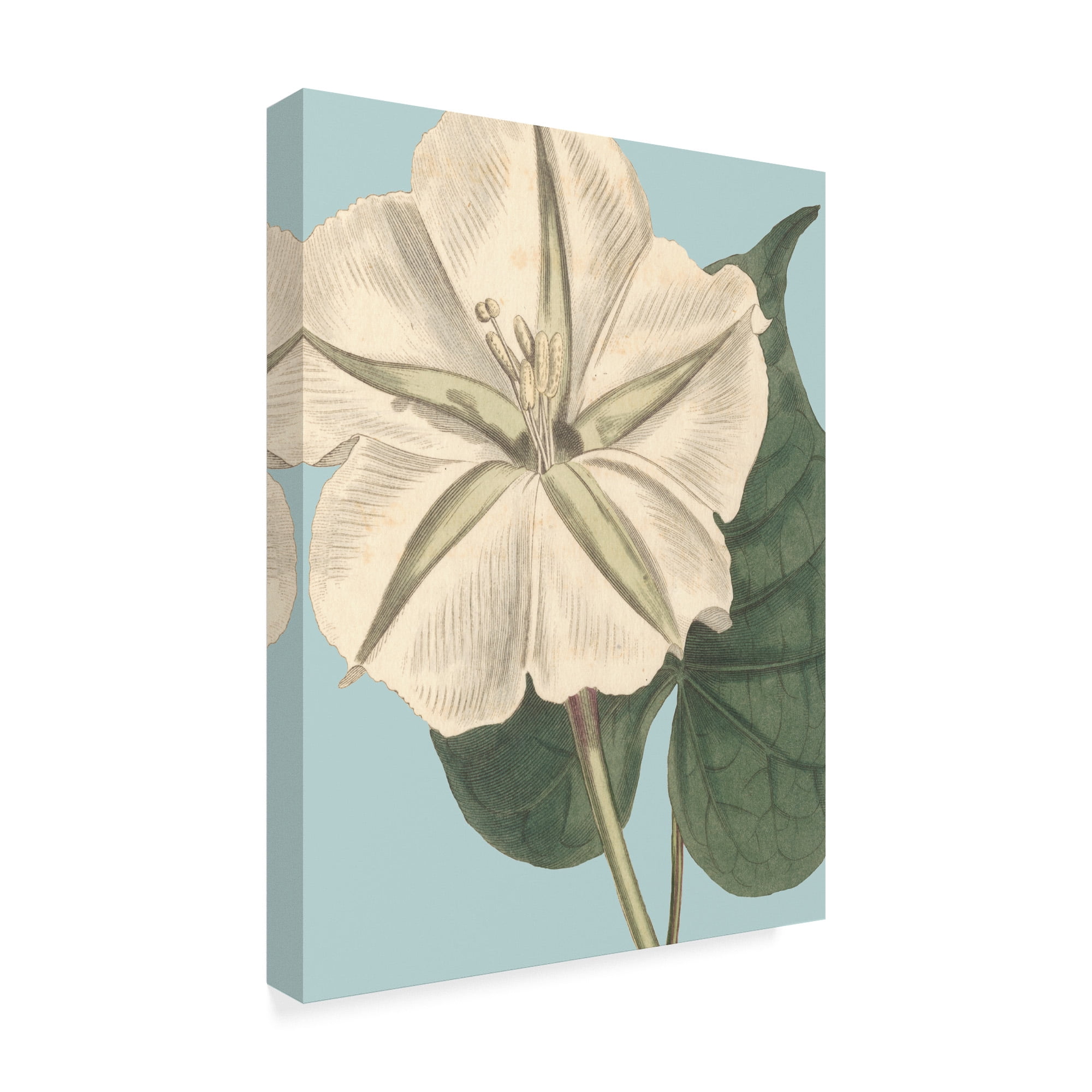 Trademark Fine Art 'Fresh Florals IV' Canvas Art by Vision Studio