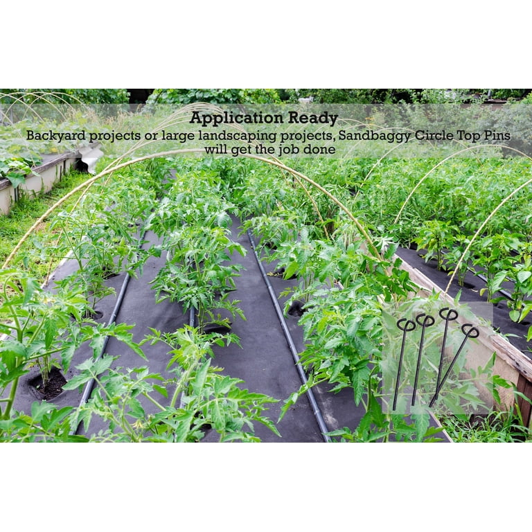 60 Pcs 6" Galvanized Landscape Pins - 0.16" Thick Circle Top, For Securing Fabric, Weed Barrier (Stronger Than U-Staples)