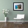 thumbnail image 3 of Trademark Fine Art 'Napali Coast' Canvas Art by Pierre Leclerc, White Matte, Black Frame, 3 of 4