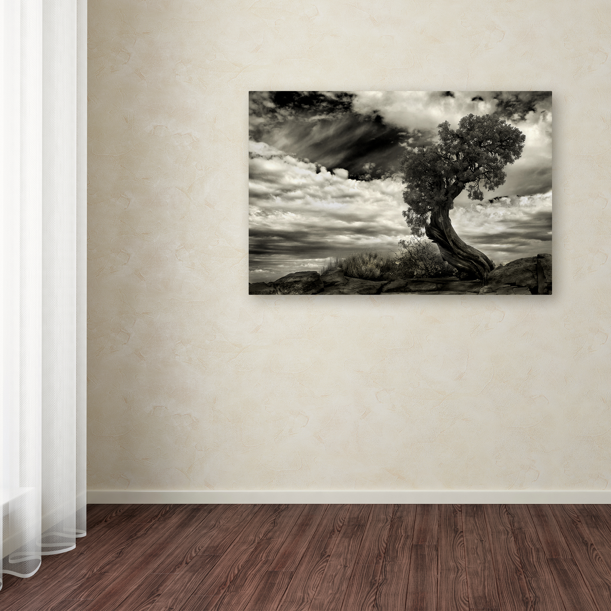 Trademark Fine Art 'The Boss' Canvas Art by Jerome Zakka Bajjani