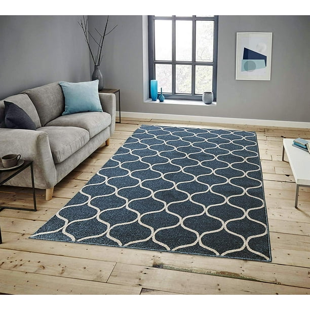Area Rugs for Living room Area Rugs Clearance 5x7 Runner Rug, Blue Area