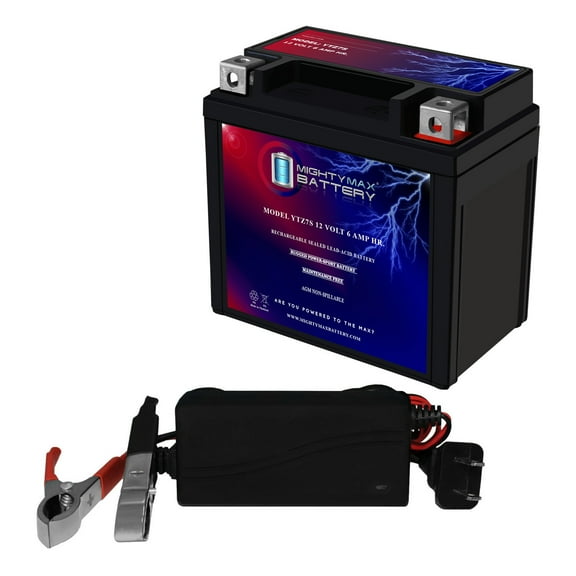 YTZ7S SLA Replacement Battery Compatible with Yamaha 600 YZFR6 Race 23   12V 1Amp Charger