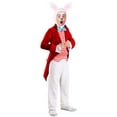 thumbnail image 1 of Dignified White Rabbit Costume for Kids, 1 of 3