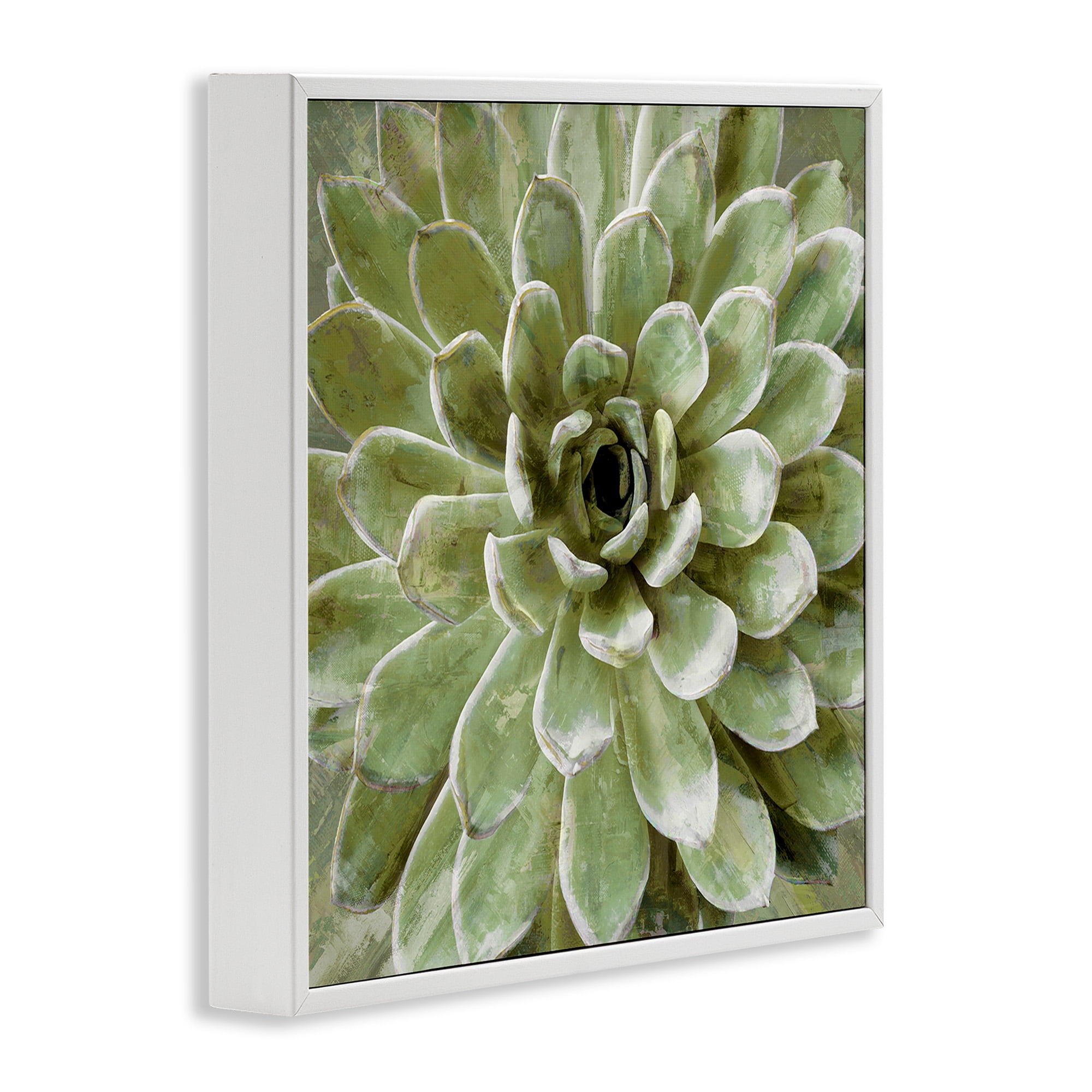Stupell Industries Green Botanical Succulent Bloom Botanical & Floral Painting White Framed Art Print Wall Art, 12 x 12