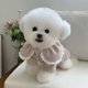 thumbnail image 5 of Suéter de punto para cachorros, gatos y mascotas, suéteres de primavera, abrigo de punto, perros pequeños, gatitos, gatos, ropa suave para perros, ropa para chihuahuas XXS, 5 of 5