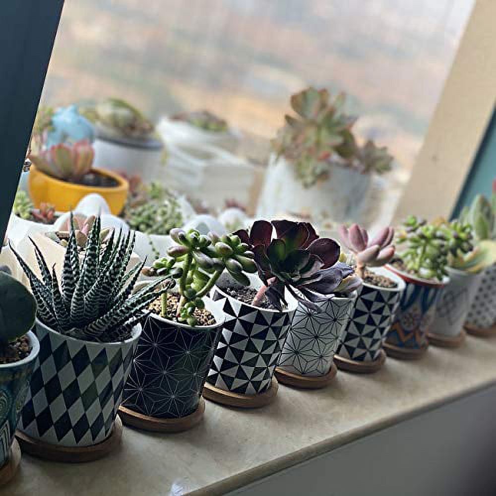 Succulent Plants Pots，3.2 Inch Planter Pots Geometry Pots for Plants Flower Pots Indoor&Outdoor Ceramic Plants Pots for Cactus with Drain Hole and Bamboo Tray ，Perfect Gift Idea Set of 4 - image 3 of 7