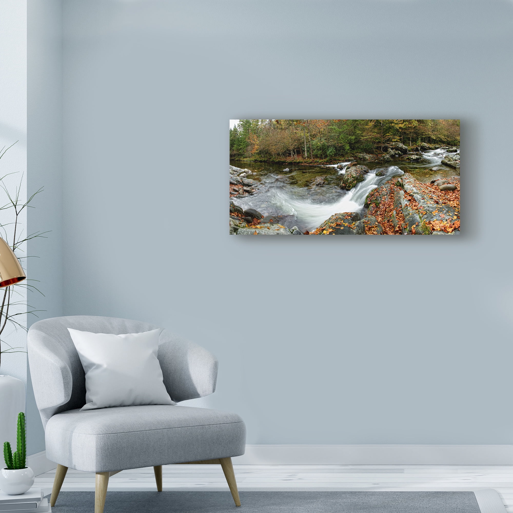 Trademark Fine Art 'River Panorama' Canvas Art by Danny Head