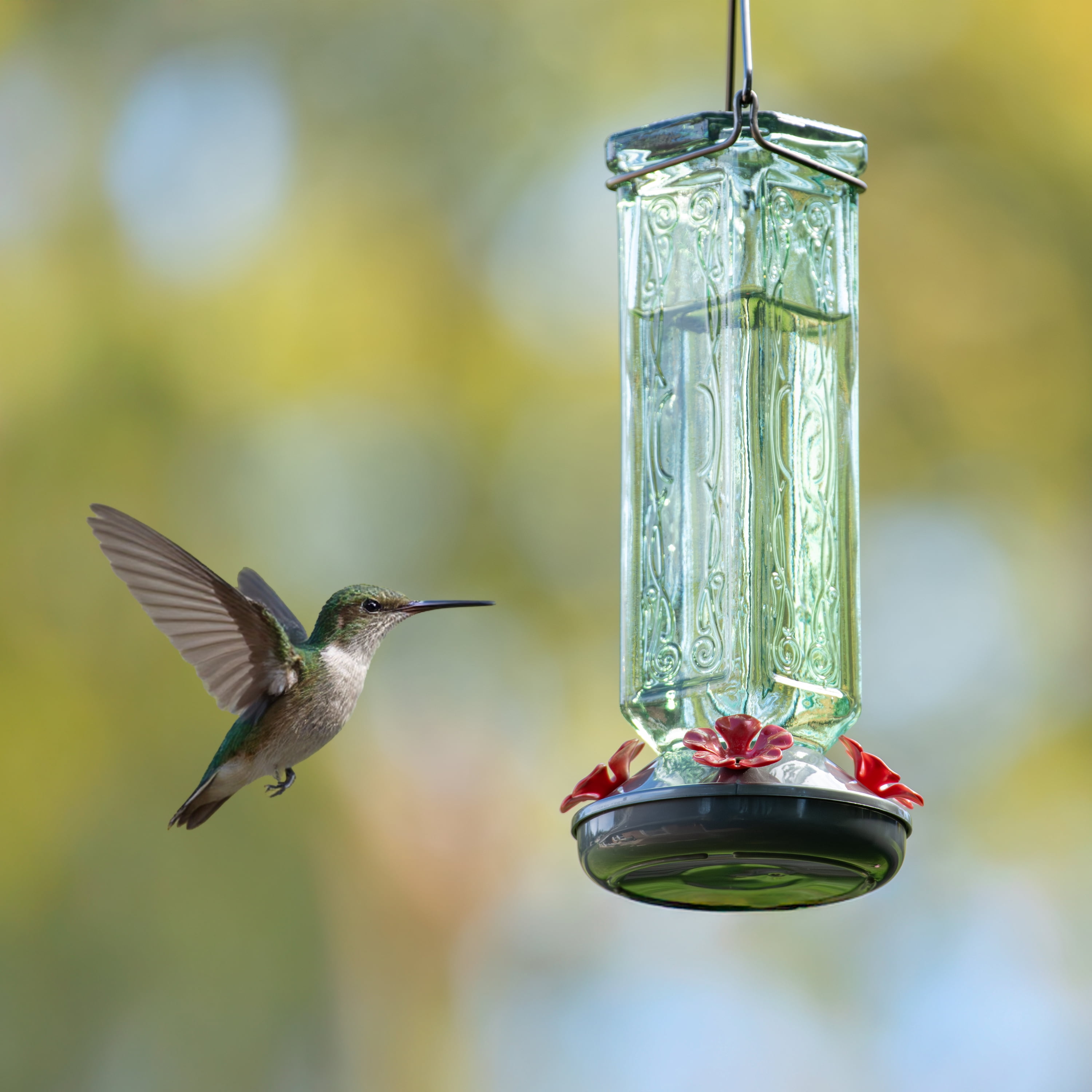 More Birds Kristina Green Vintage Glass Bottle Hummingbird Feeder with 4 Ports, 19 fl oz Nectar Capacity
