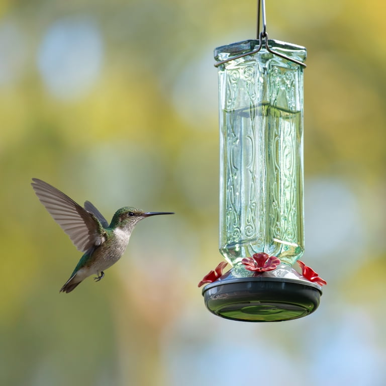 More Birds Kristina Green Vintage Glass Bottle Hummingbird Feeder