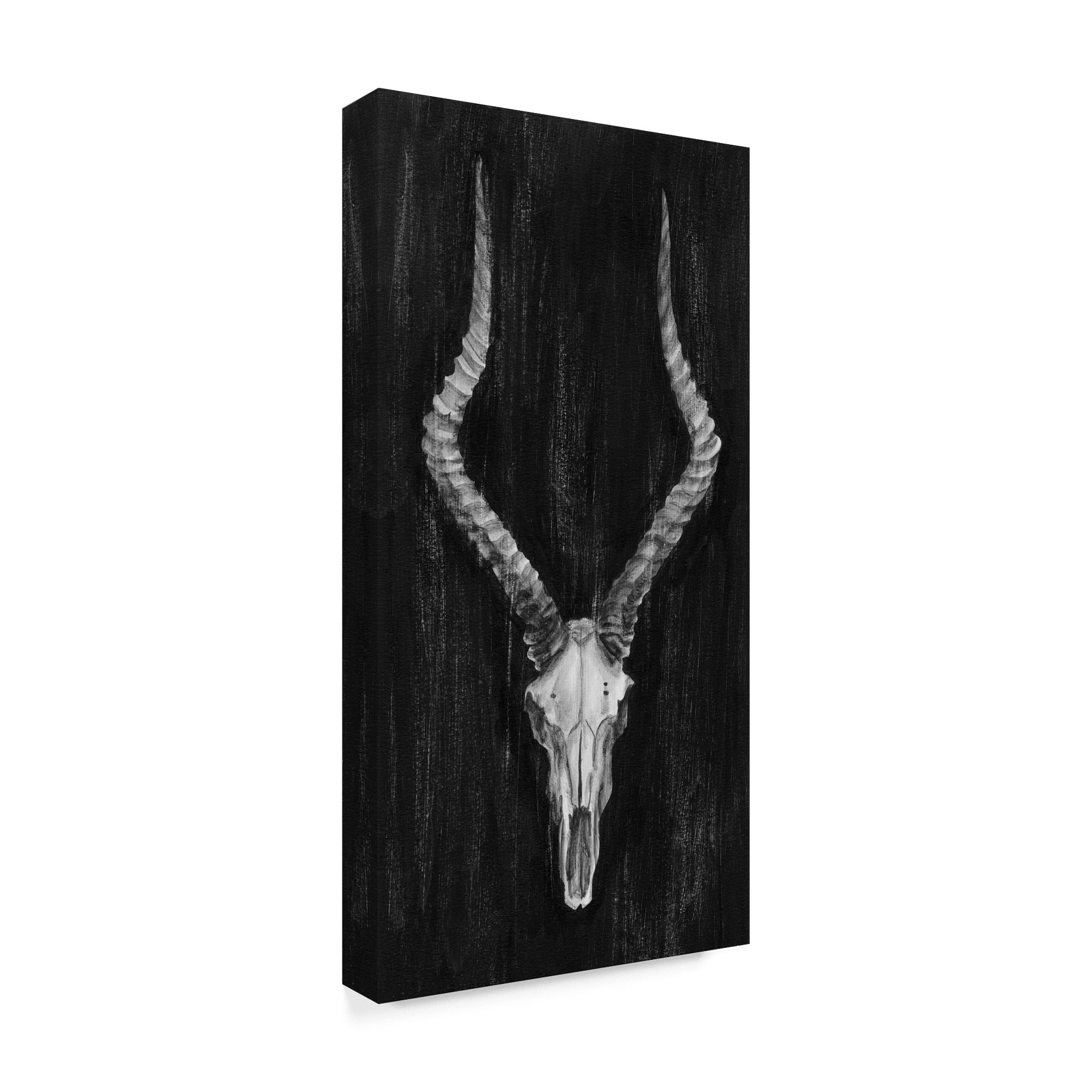 Trademark Fine Art 'UA CH Rustic European Mount II' Canvas Art by Ethan Harper