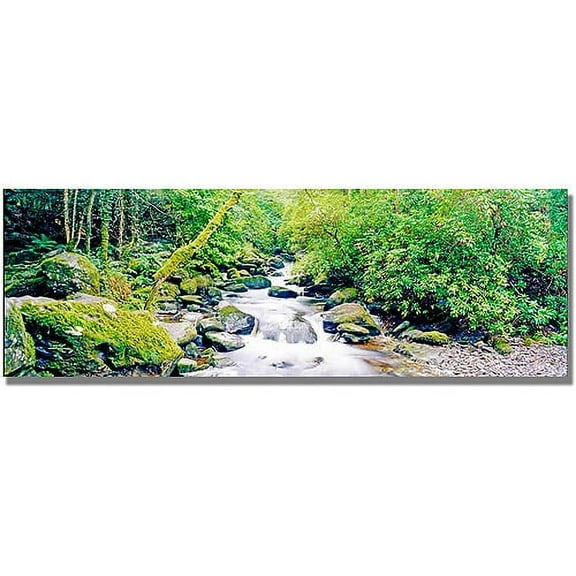 Trademark Art "Ireland Green" Canvas Wall Art by Preston