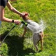 thumbnail image 2 of Boquilla rociadora de alta presión, manguera, pistola de ducha para perros, 3 modos, ajustable, para lavado de mascotas, baño, agua, espuma, jabón, rociador, herramienta de limpieza para perros, 2 of 5