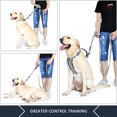 thumbnail image 5 of PLUTUS PET Double Handle Dog Leash 6ft Long, Padded Traffic Handle, Heavy Duty and Reflective, Training Leash for Medium Large Dogs, Gray, 5 of 6